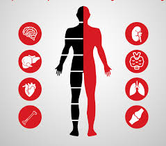 Diamond Total Health